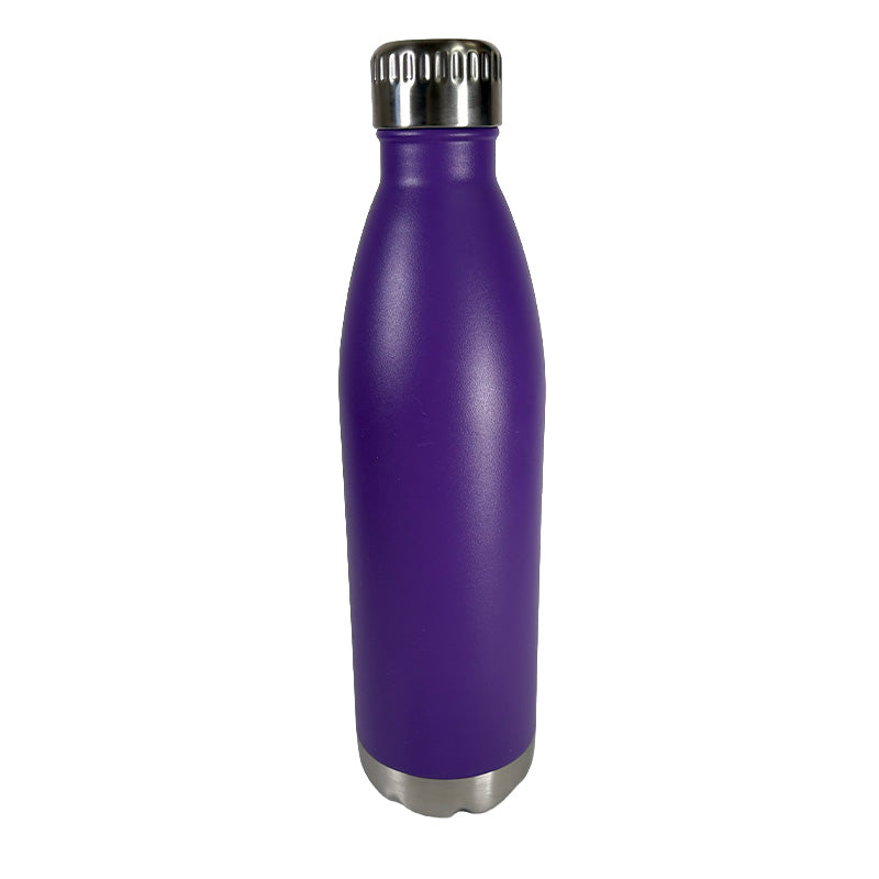 Purple insulated bottle with silver cap on a white background